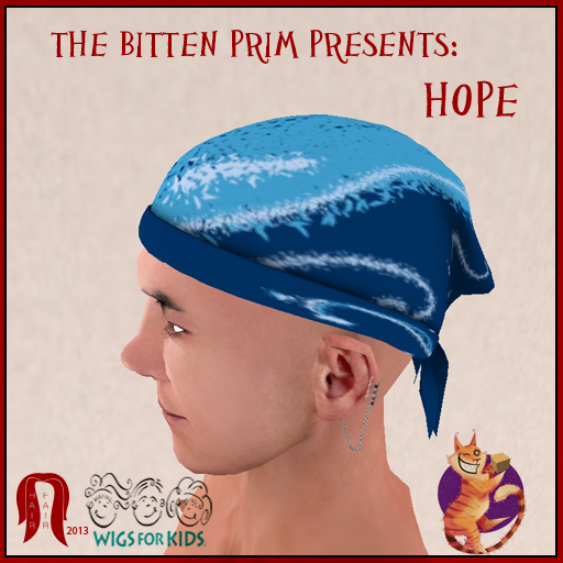 Hair Fair 2013 - BP Hope